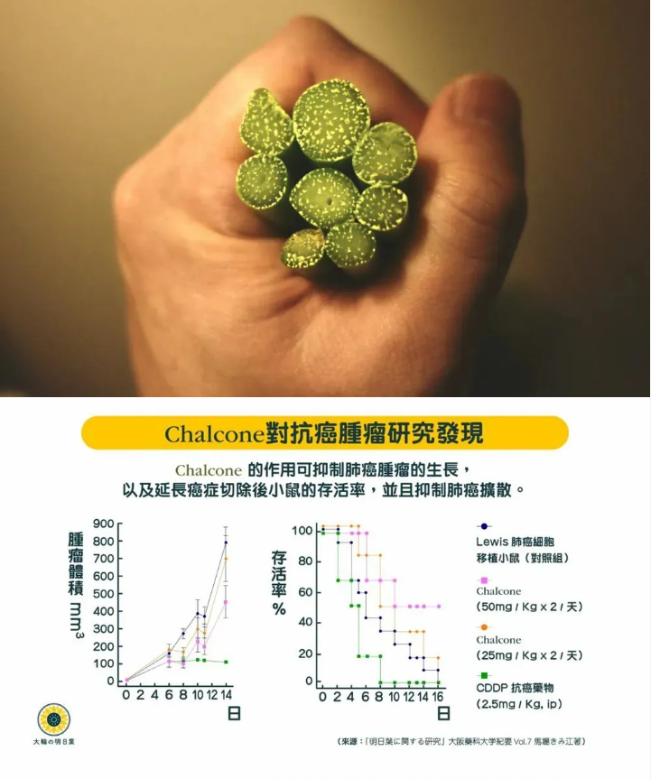 1764239345141963.png image.png