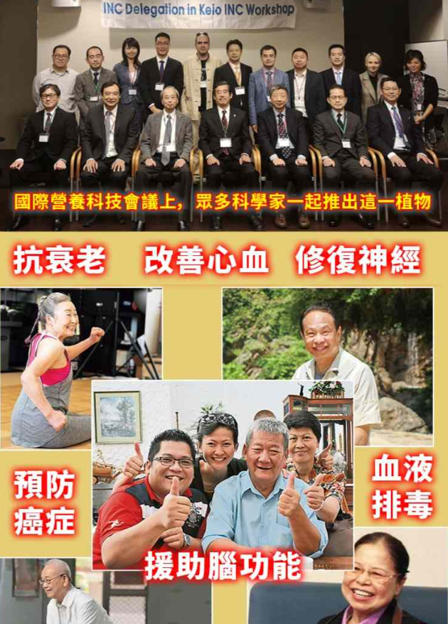 1764239445142363.png image.png