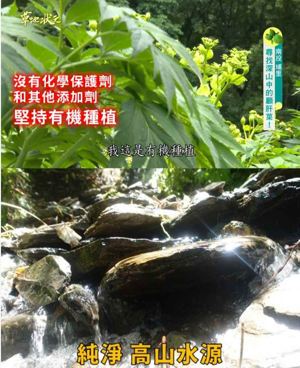 1764239618321913.png image.png