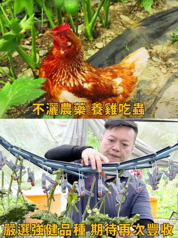 1764239638958171.png image.png